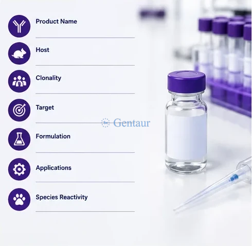 Antibody record anatomy