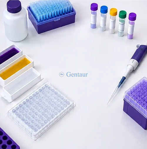 Assay plate and accessory setup