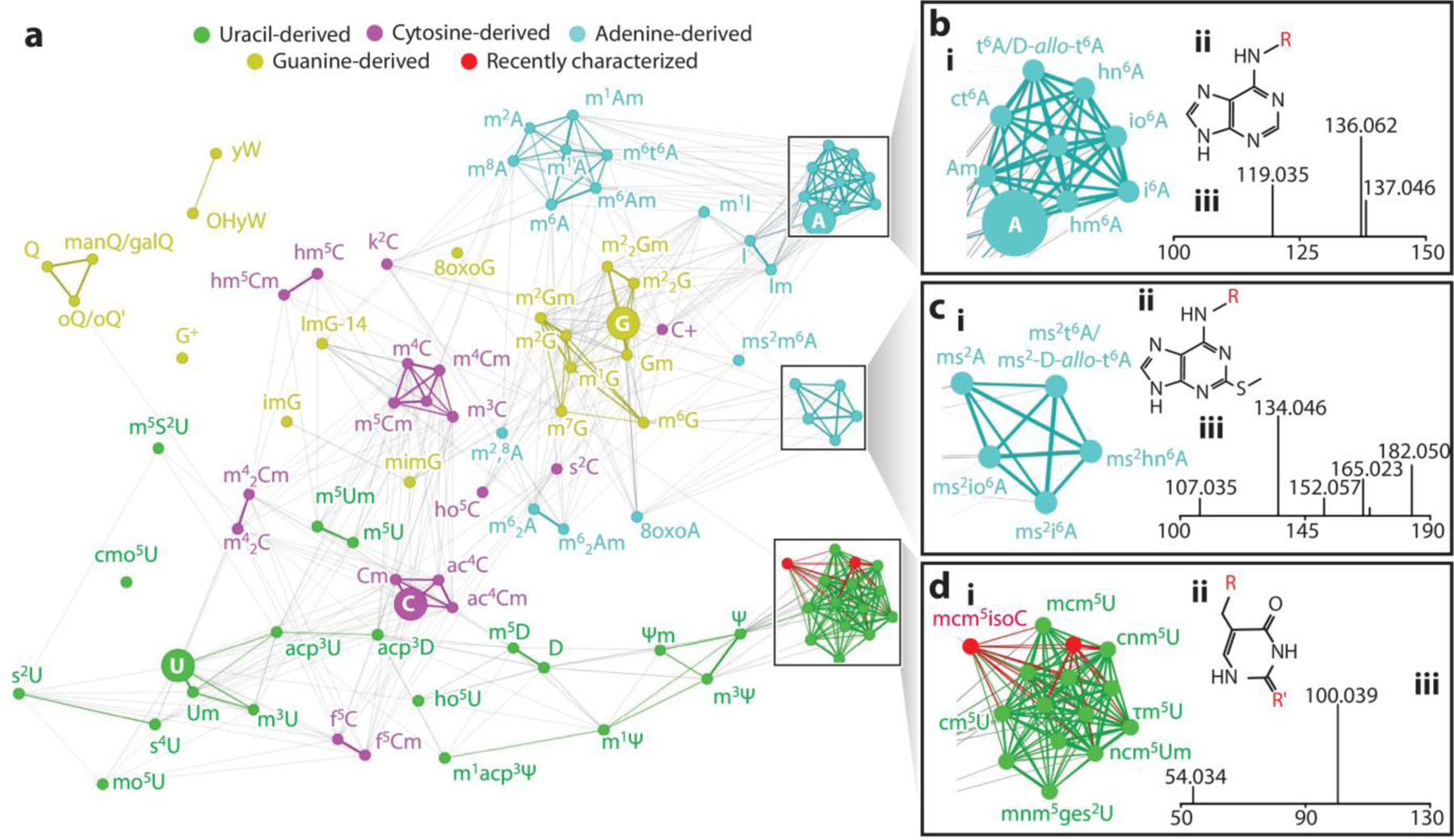 Automating detection of modified nucleosides using spectral networks