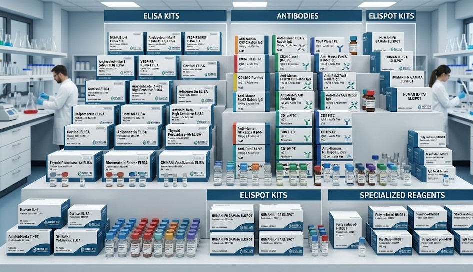 CancerSeq™ Plus Paraffin Tissue Tumor Section: Lung