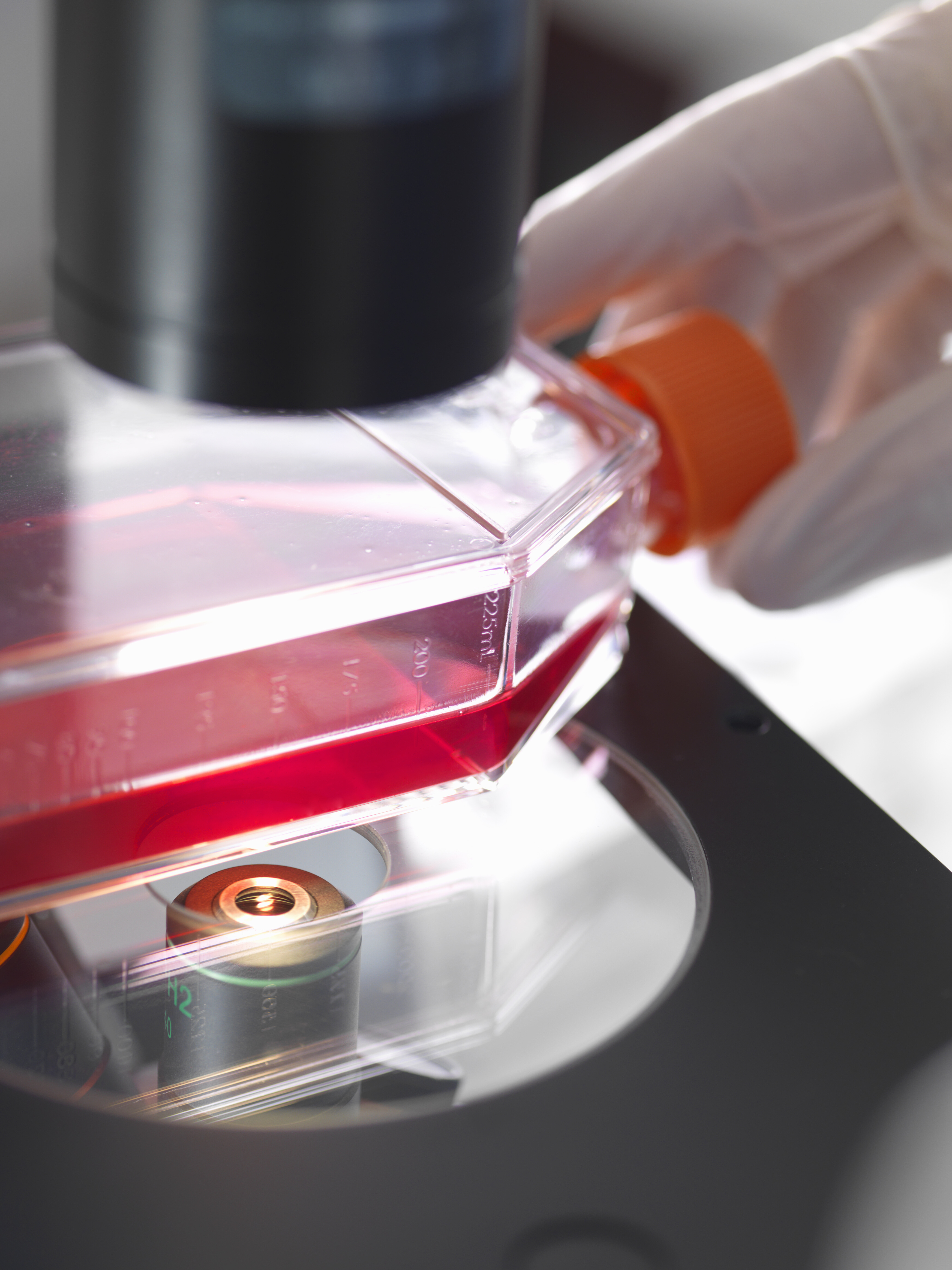 Cell culture dish