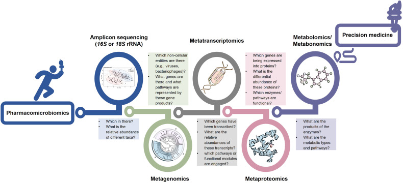 Multi-omics strategies facilitating pharmacomicrobiomics toward precision medicine