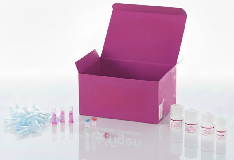 AffiPCR® Quick Pro qPCR SuperMix Kit - ROX premixed