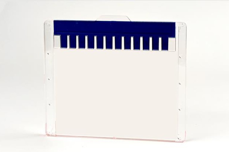Precast Protein Gel